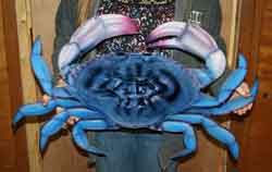 Biggest Blue Crab Ever made with sublimation printing